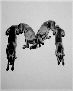 Image description is not available for 2001.071